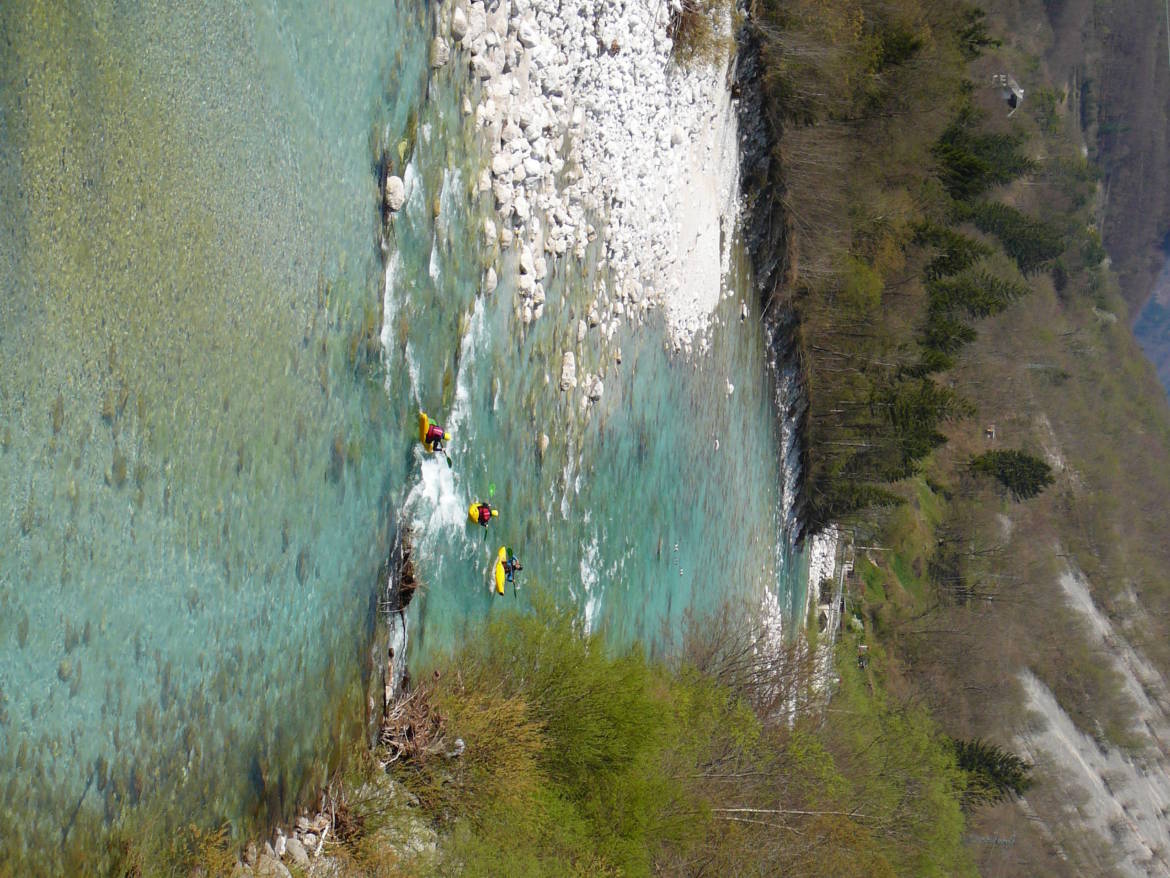 P1150787-rotated.jpg